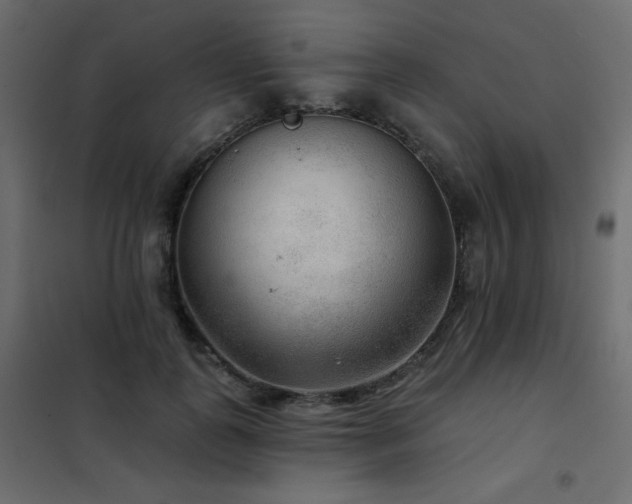 X0000102540747200808081521