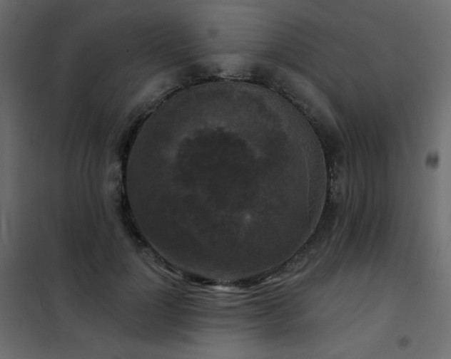 X0000102540748200808081521