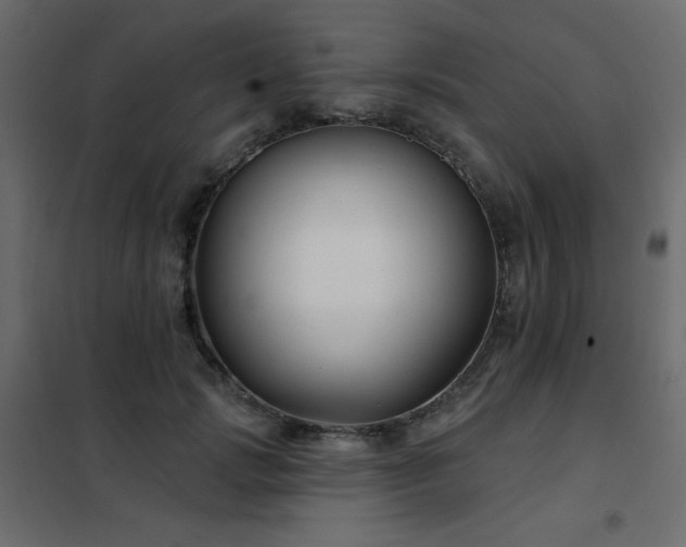 X0000102540749200808081521