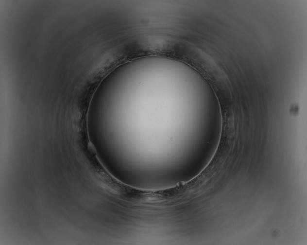 X0000102540750200808081521