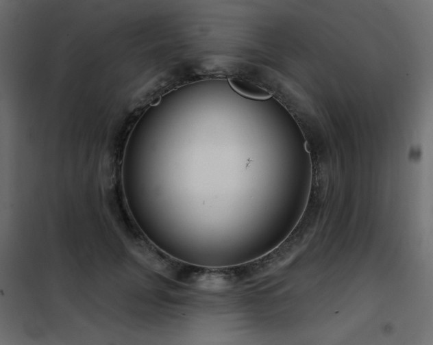 X0000102540751200808081521