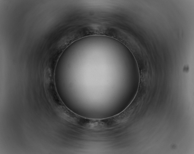 X0000102540752200808081521