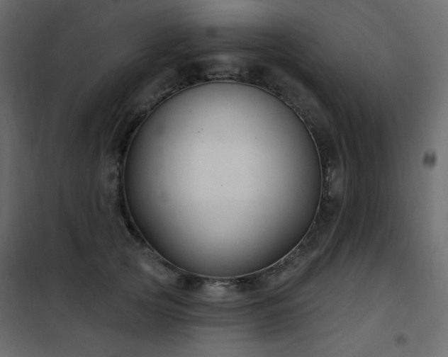 X0000102540753200808081521