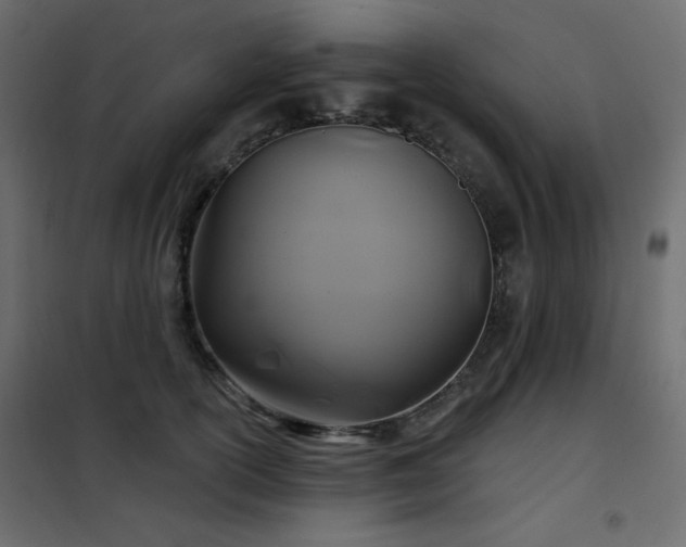 X0000102540754200808081521