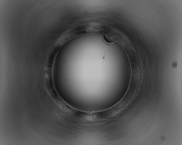 X0000102540755200808081521