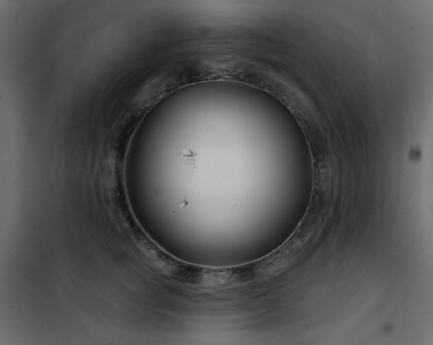 X0000102540757200808081521