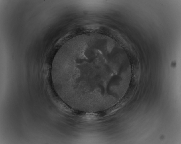 X0000102540758200808081521