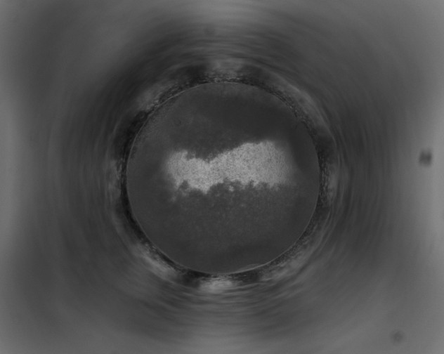 X0000102540759200808081521