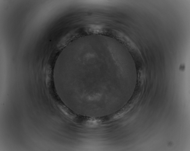 X0000102540760200808081521