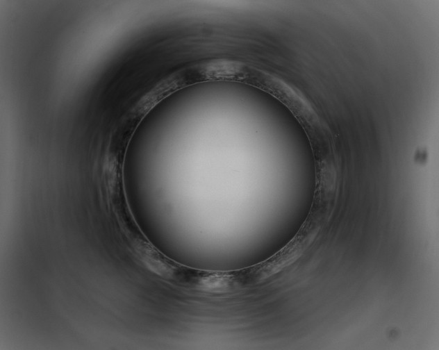 X0000102540761200808081521