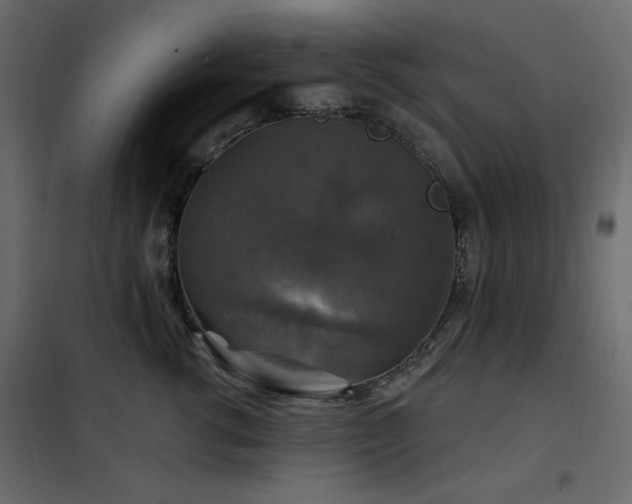 X0000102540762200808081521