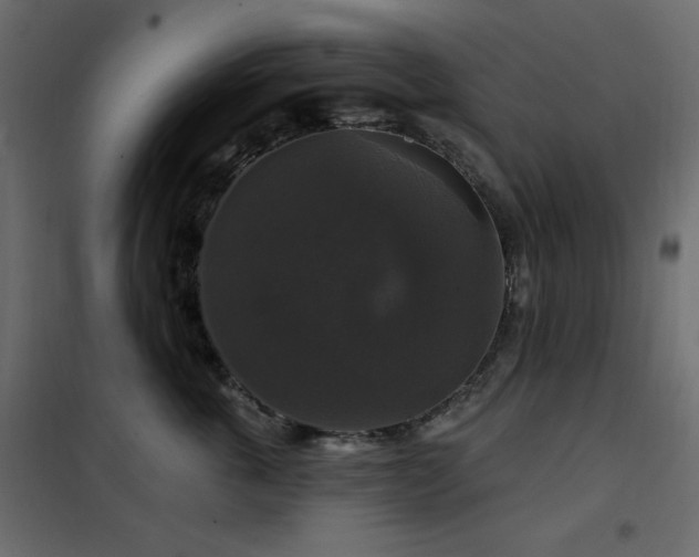 X0000102540763200808081521