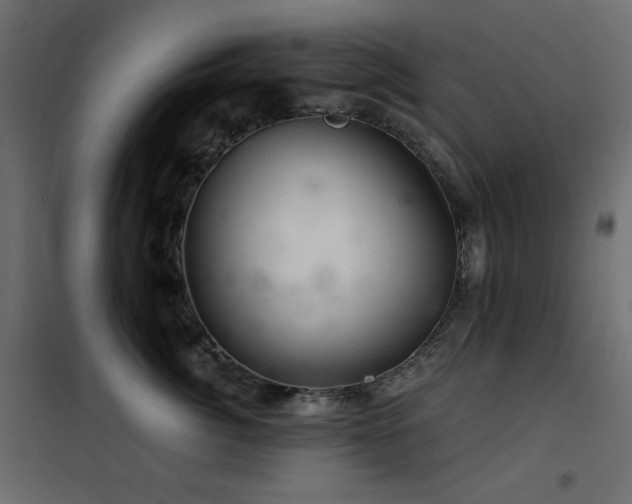 X0000102540764200808081521
