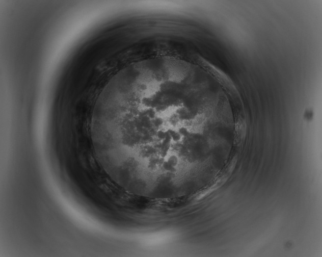 X0000102540765200808081521