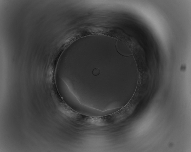 X0000102540767200808081521