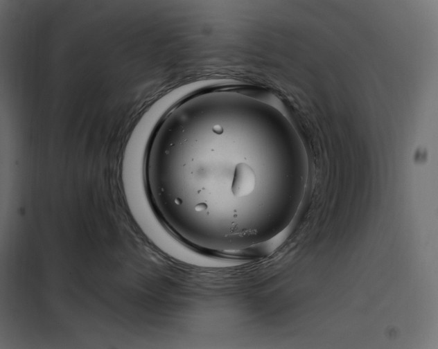 X0000102540768200808081521