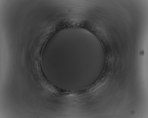 X0000102540769200808081521