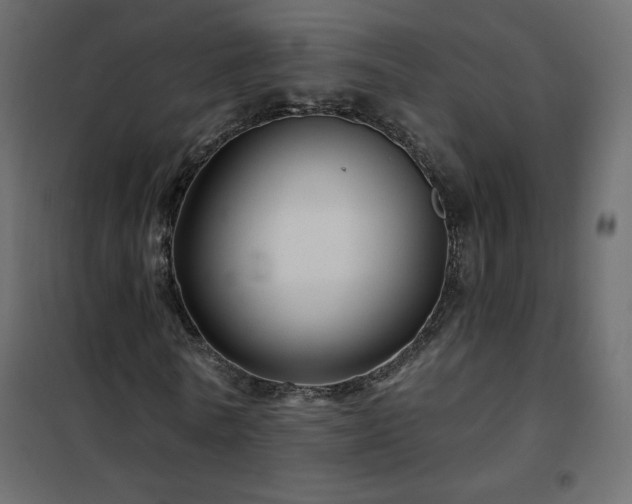 X0000102540770200808081521