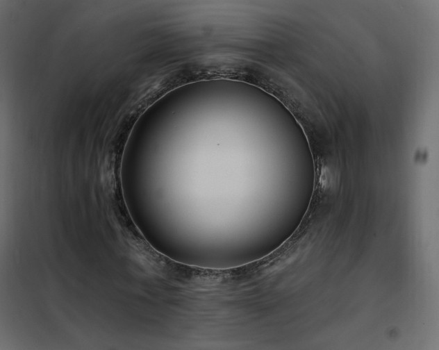 X0000102540771200808081521