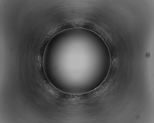 X0000102540772200808081521
