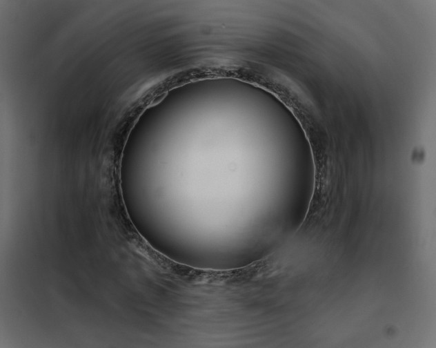 X0000102540773200808081521