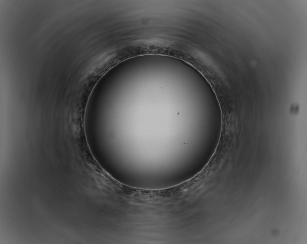 X0000102540774200808081521