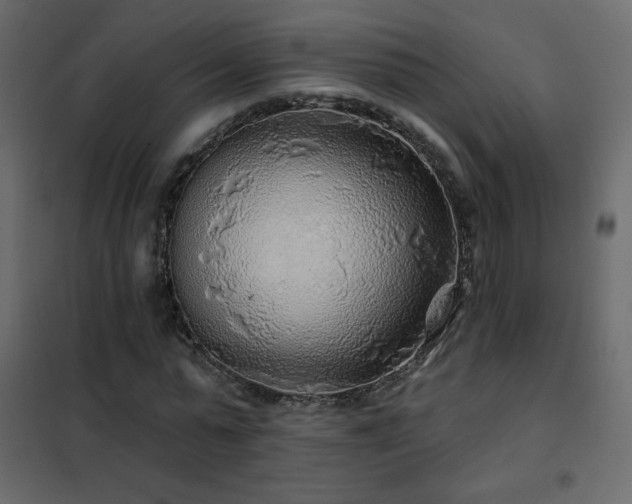 X0000102540775200808081521