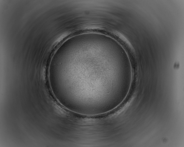 X0000102540777200808081521