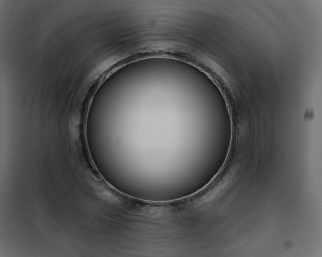 X0000102540778200808081520