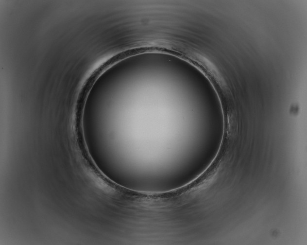 X0000102540780200808081520