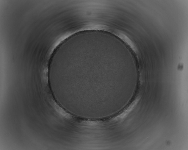 X0000102540781200808081520