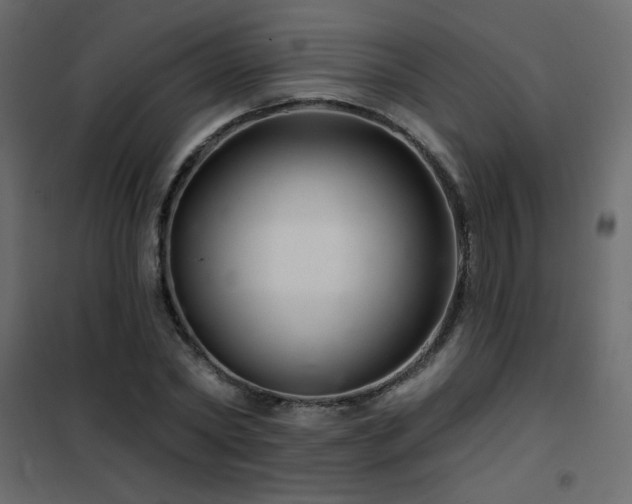 X0000102540782200808081520