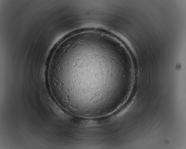X0000102540783200808081520