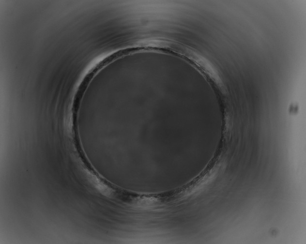 X0000102540784200808081520
