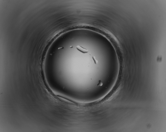 X0000102540785200808081520