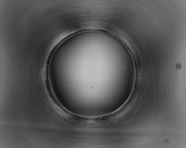 X0000102540787200808081520