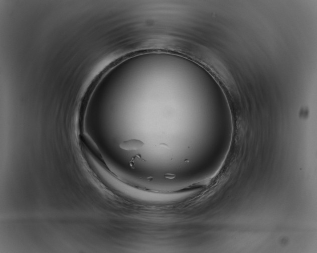 X0000102540788200808081520