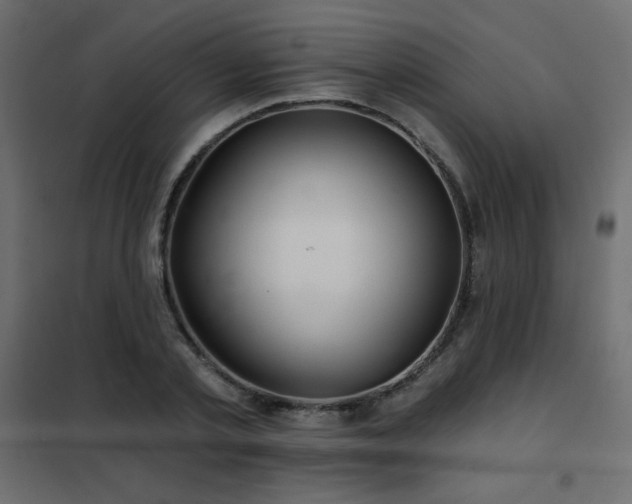 X0000102540789200808081520