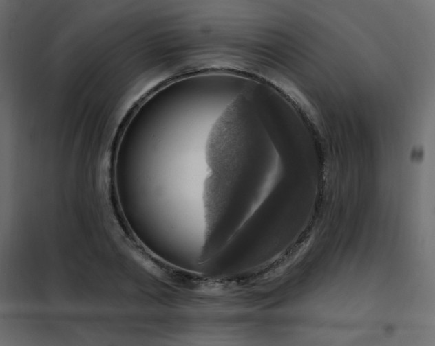 X0000102540790200808081520