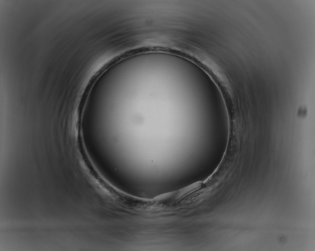 X0000102540791200808081520