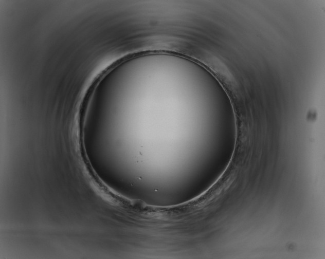 X0000102540792200808081520