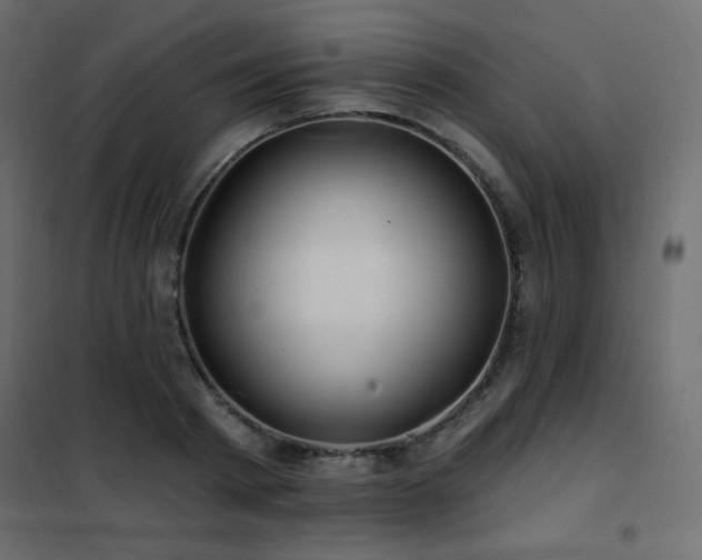 X0000102540793200808081520