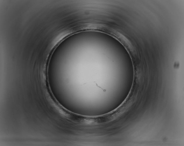 X0000102540794200808081520