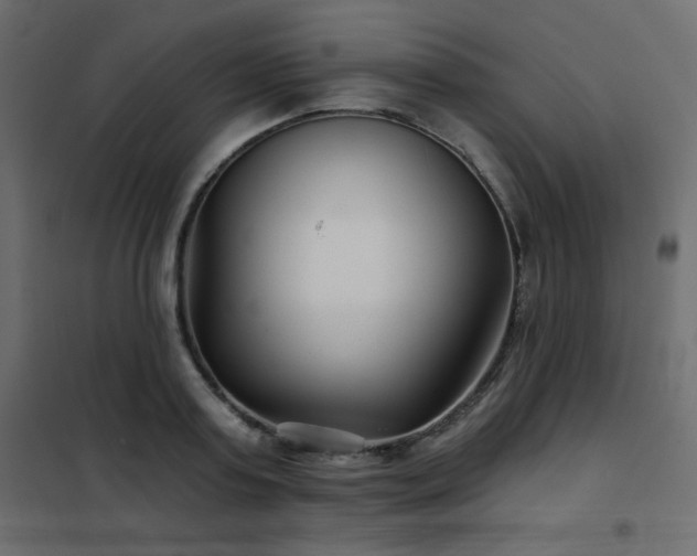 X0000102540795200808081520