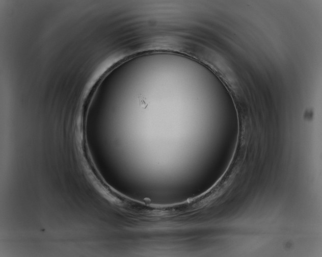 X0000102540796200808081520