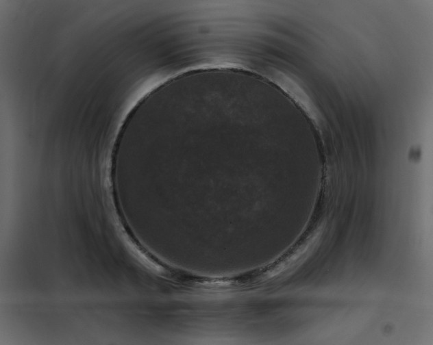 X0000102540797200808081520