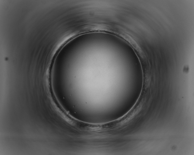 X0000102540798200808081520