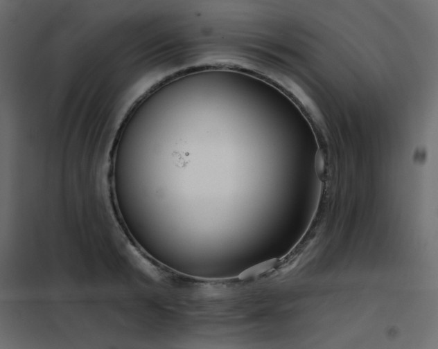 X0000102540799200808081520