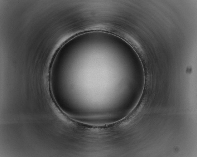 X0000102540800200808081520