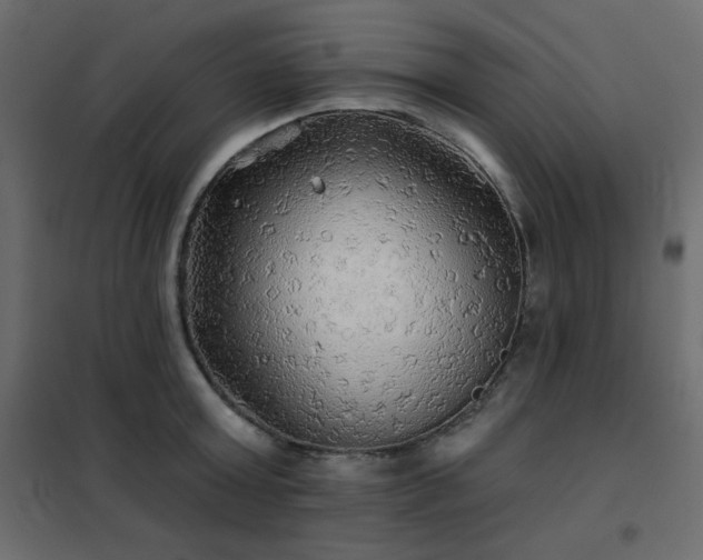 X0000102540803200808081520